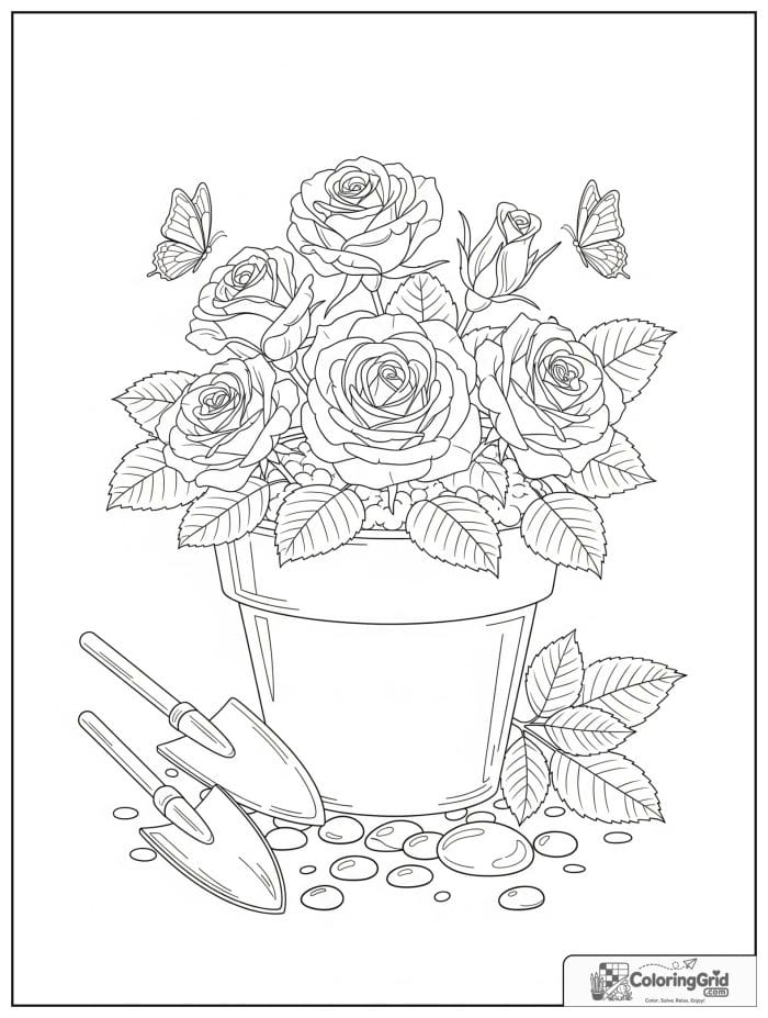 Rose flower pot with blooming roses and butterflies coloring page