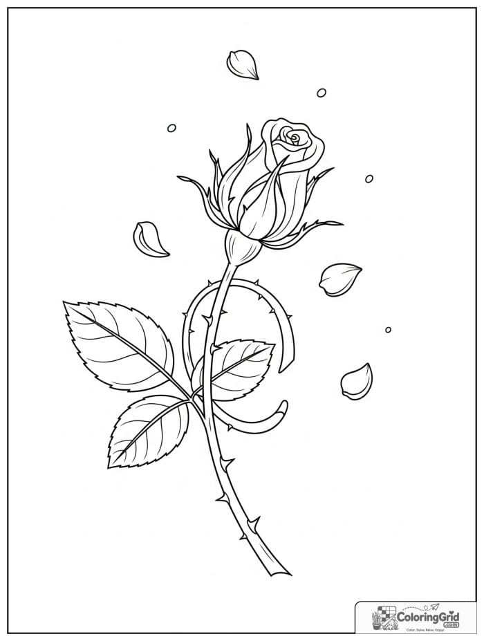 Single rosebud beginning to bloom coloring page