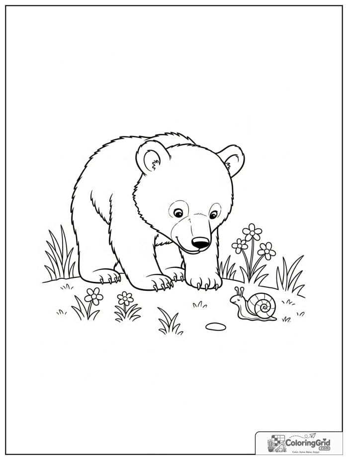 Bear cub looking at a tiny snail.