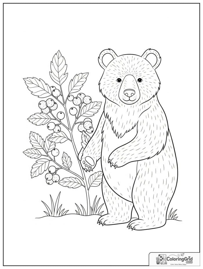 Gentle bear standing beside a berry bush.