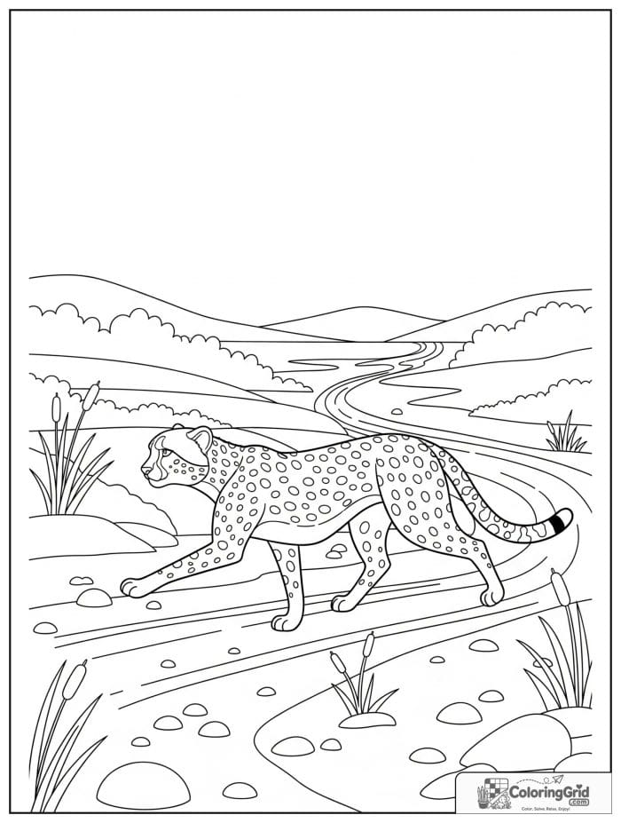 A graceful cheetah crossing a sandy riverbed with pebbles, reeds, tracks, and distant hills.