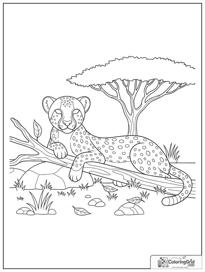 A relaxed cheetah resting beside a fallen branch with dry leaves, grass, rocks, and an acacia tree.