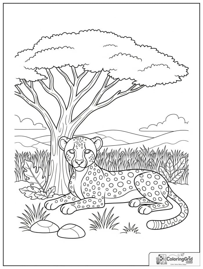 A calm cheetah resting under an acacia tree with dry grass, stones, and distant hills.