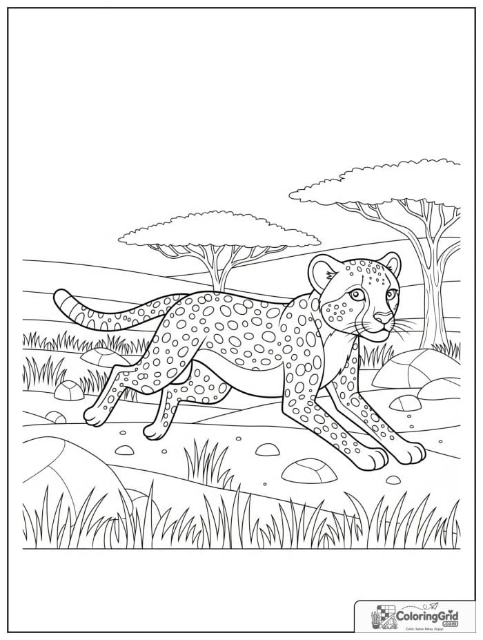 A fast cheetah running across a grassy savanna with tall grass, rocks, and acacia trees.