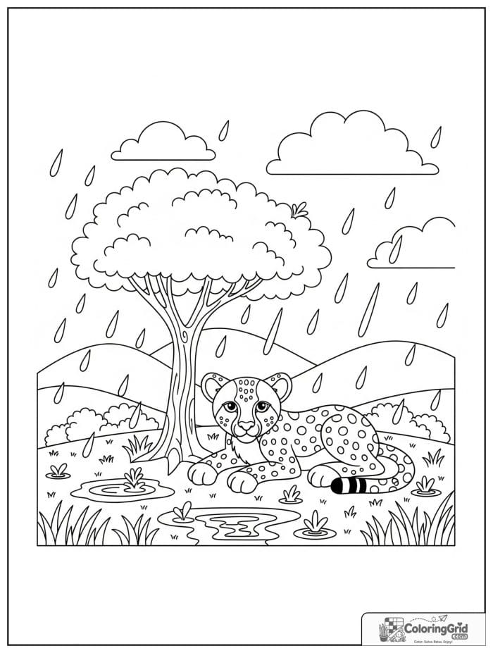 A quiet cheetah sheltering during light rain under a tree with puddles, wet grass, and cloudy hills.
