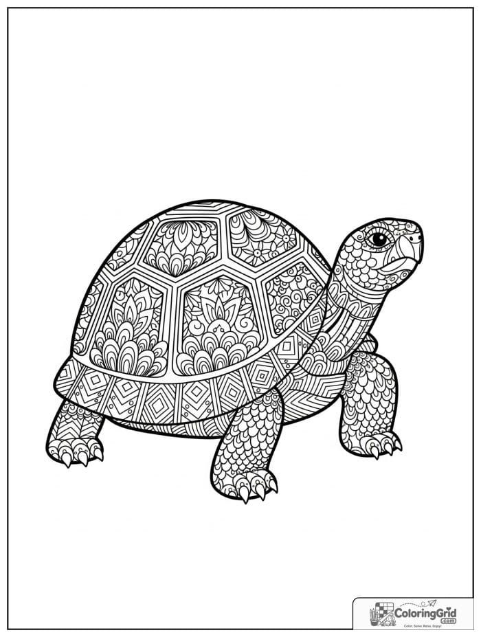 Ornate turtle shell pattern coloring sheet