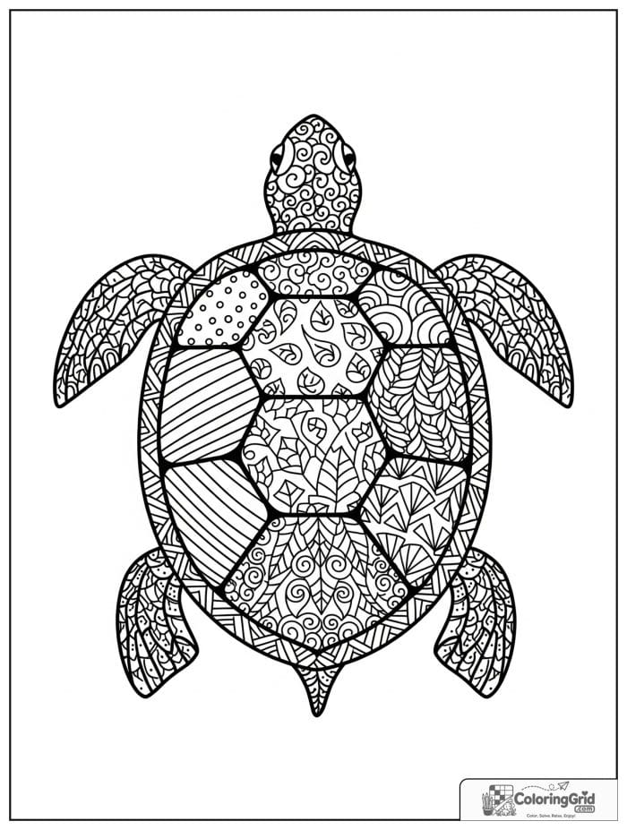 Patchwork turtle design coloring sheet