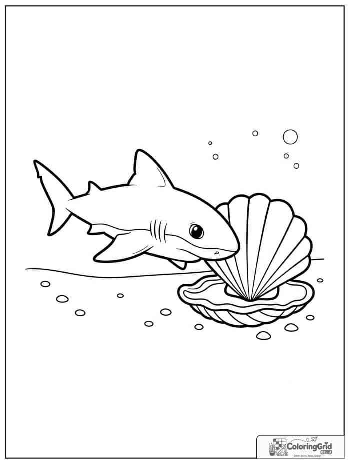 Baby shark nudging a seashell.