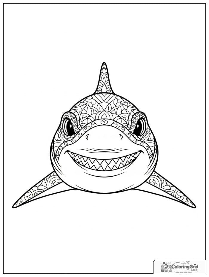 Front-facing shark face close-up.