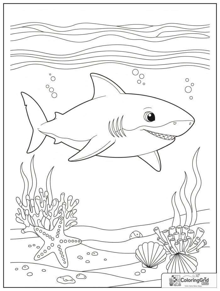 Cute shark near a starfish and shells.