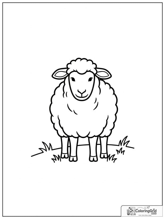 Sheep in grass field black and white line drawing.