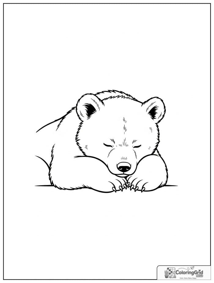 Sleeping bear cub curled up peacefully.