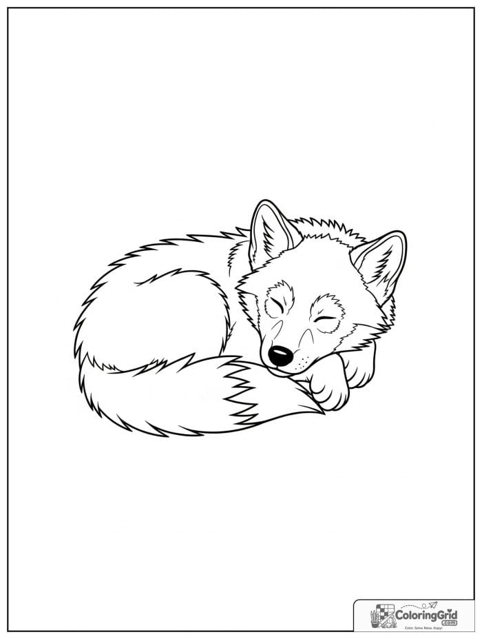 Sleeping wolf cub curled up peacefully.