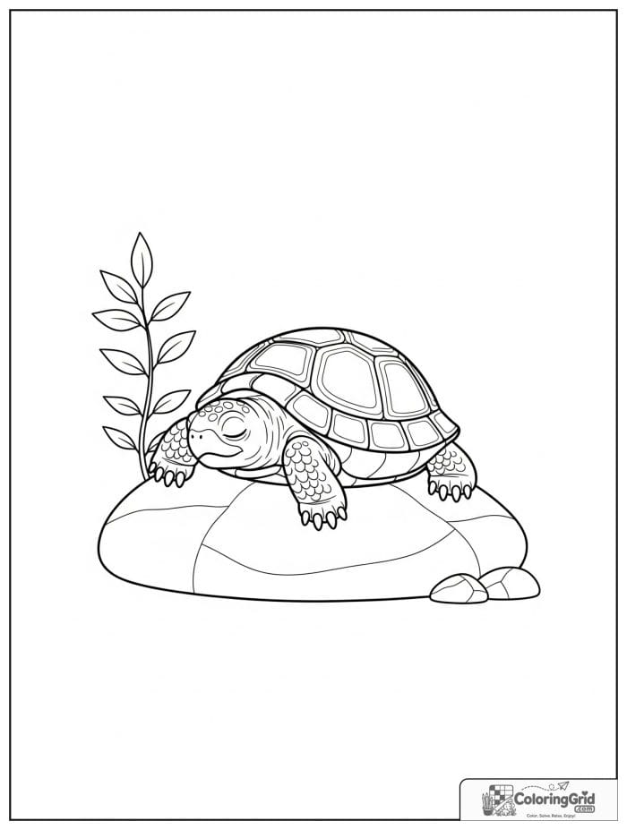Sleepy turtle on rock coloring sheet