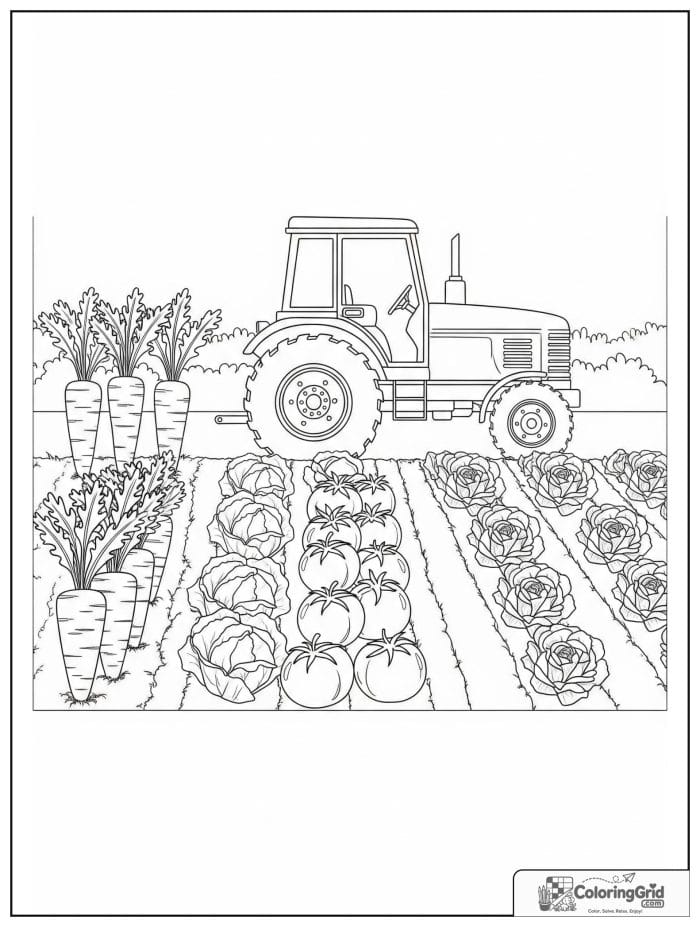 Tractor near a vegetable garden with neat crop rows.