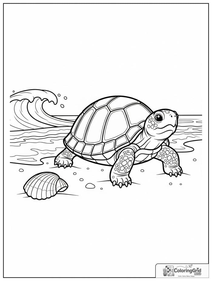 Turtle on beach coloring sheet