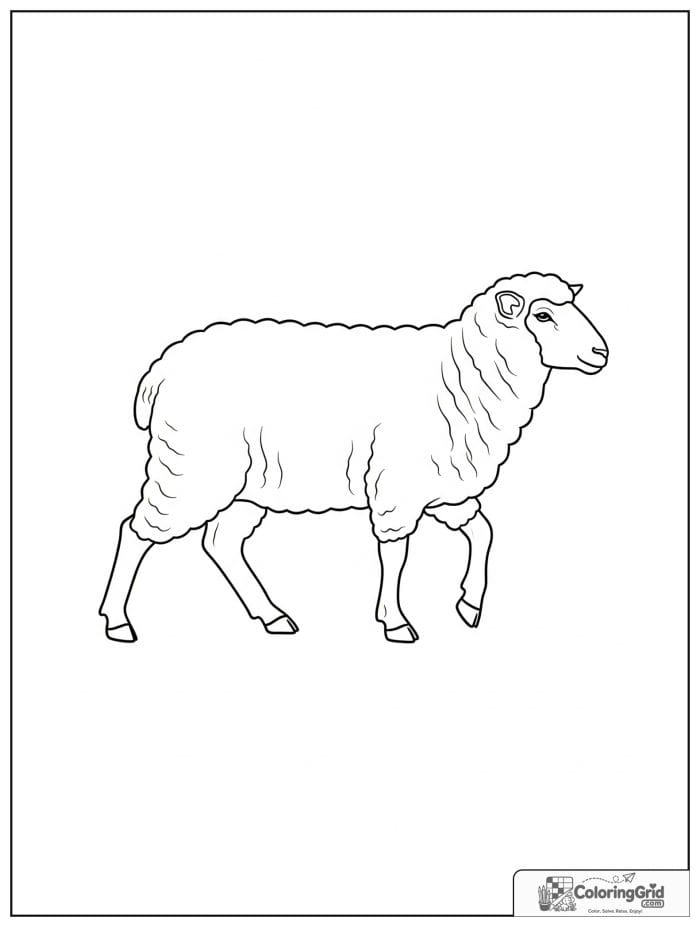 Walking sheep side view black and white line art.