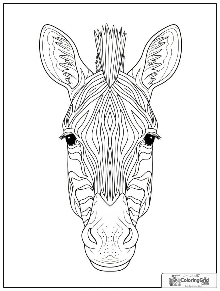 Front-facing zebra face with bold stripes.