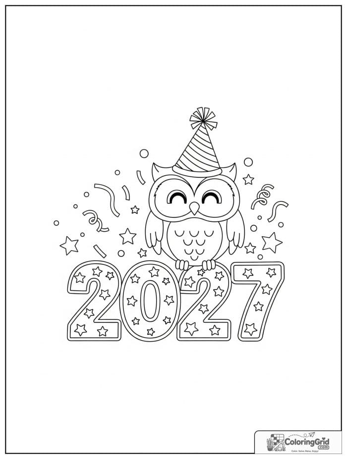 Cute owl celebrating 2027 New Year with party hat.