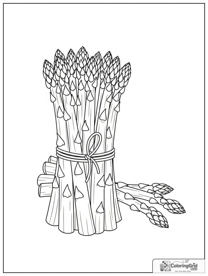 Vegetable coloring page featuring a tied bundle of asparagus.