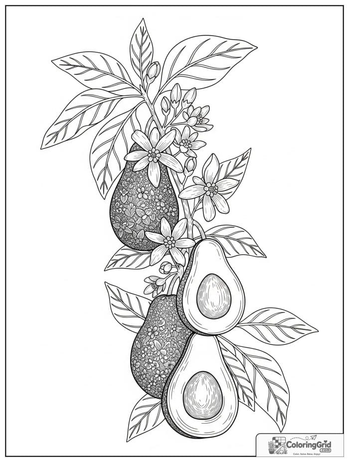 Avocado blossom branch for avocado coloring pages