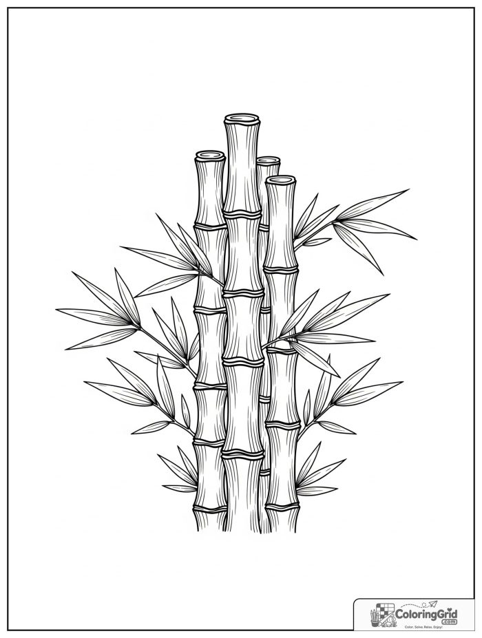 Relaxing bamboo mandala with leaves and segmented rings.