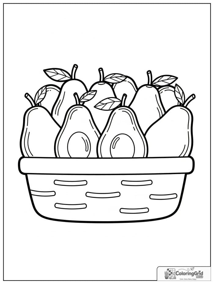 Basket of avocados for avocado coloring pages
