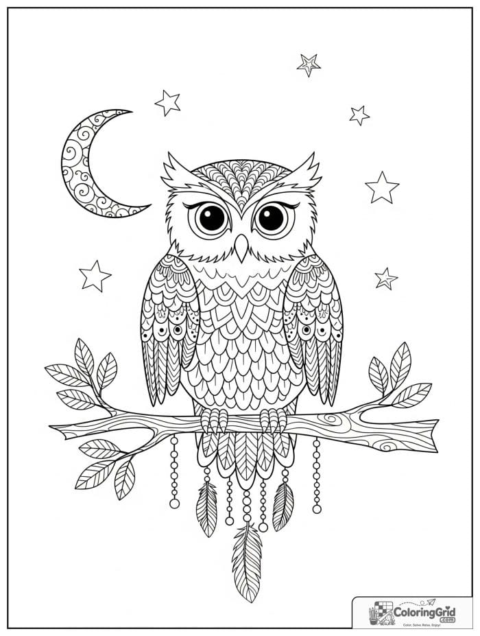 Boho coloring page featuring an owl with moon and feather details.