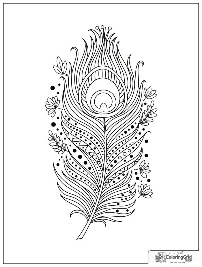 Boho coloring page featuring a decorative peacock feather.