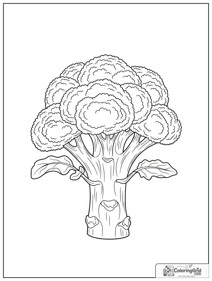Vegetable coloring page featuring a close-up broccoli head.