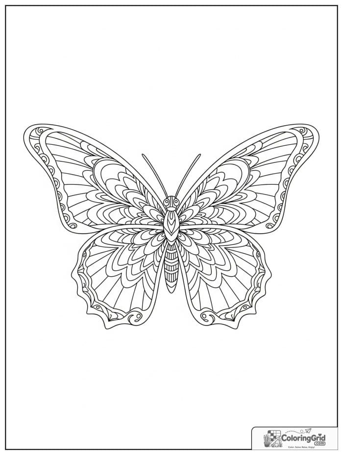 Butterfly Mandala Coloring Pages with starburst wing sections.