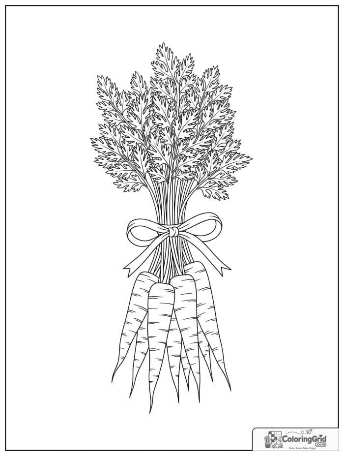 Bunch of carrots tied with a ribbon line drawing