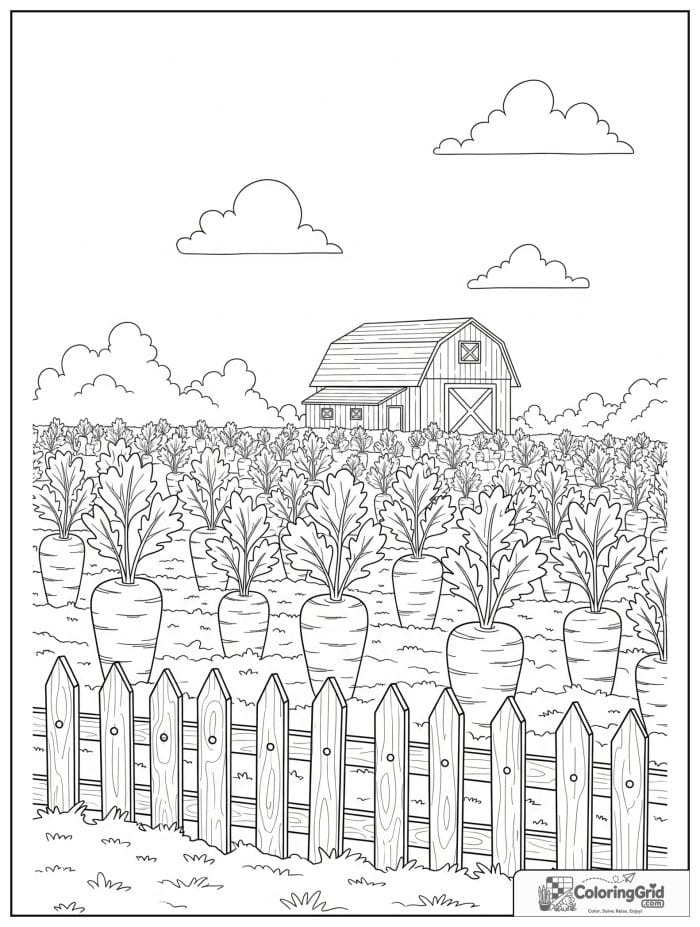 Carrot patch with fence and barn black and white line art