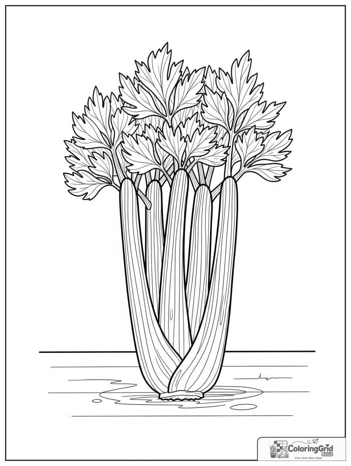 Vegetable coloring page featuring a bunch of celery stalks.