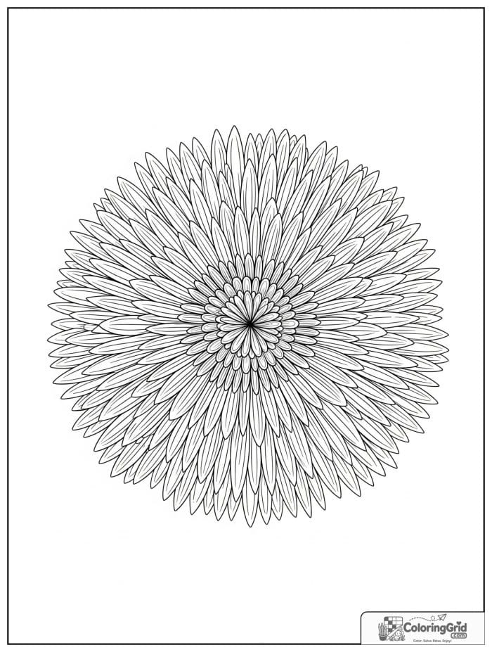 Flower mandala with slim chrysanthemum petals and a compact center.