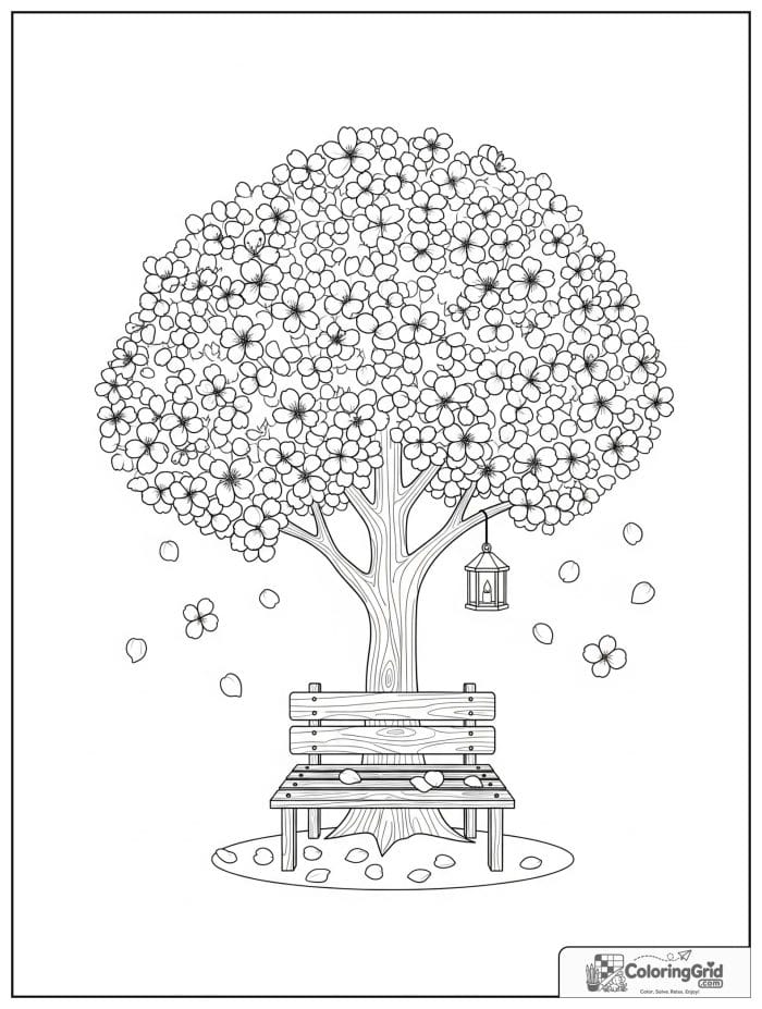 Cute and cozy cherry tree with blossoms and a bench.