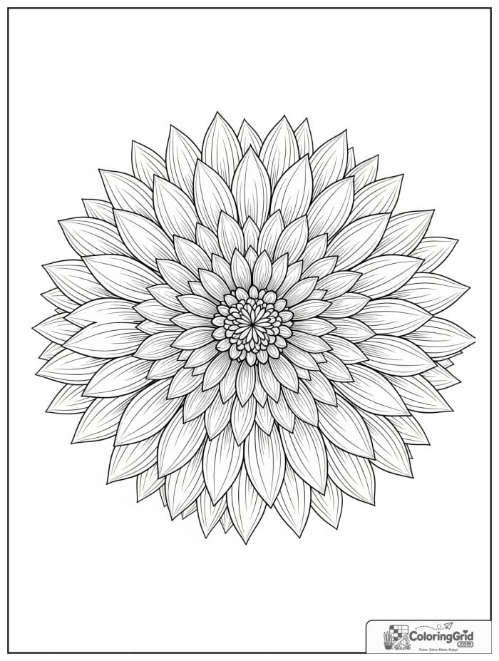 Flower mandala with many pointed dahlia petals and layered circles.