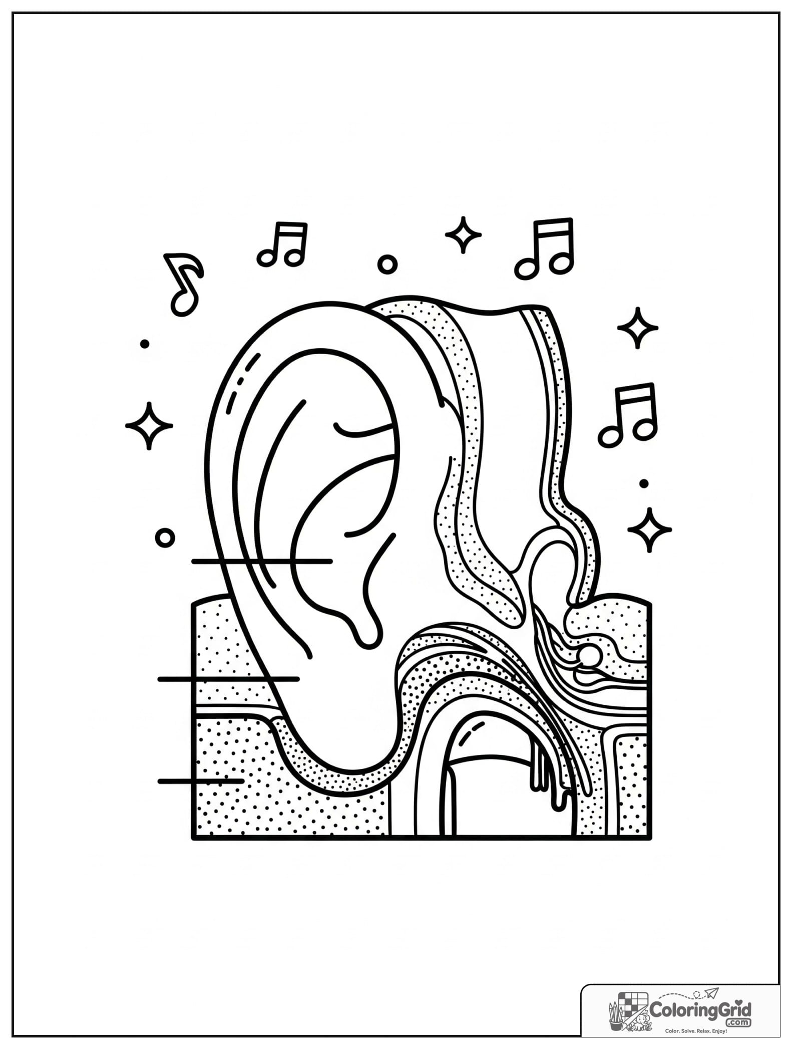 Cute ear anatomy diagram with small music note details.
