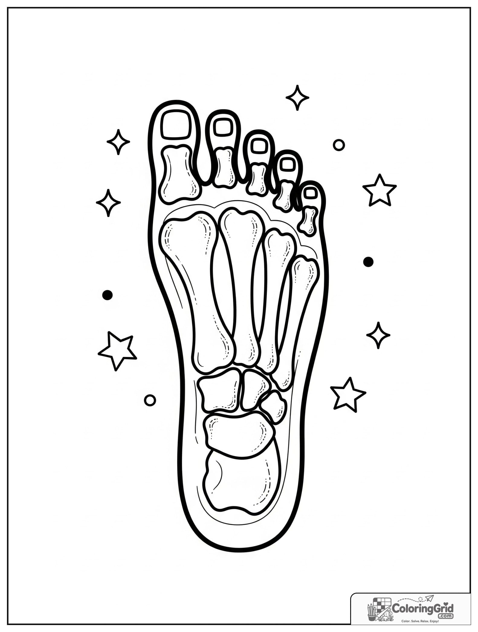 Cute foot bones and toes diagram with small sparkle details.