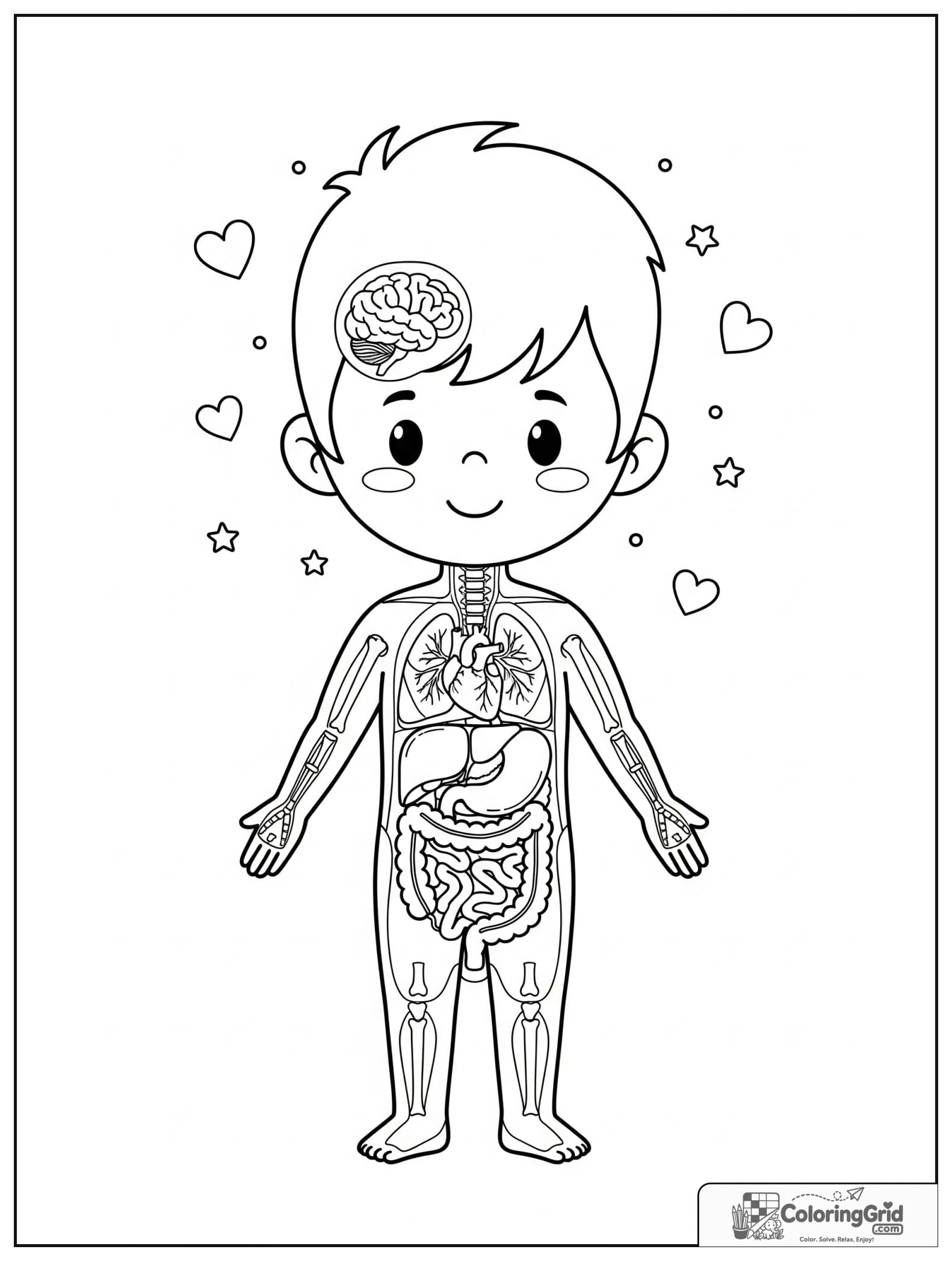 Cute boy body outline with major organs and small star details.