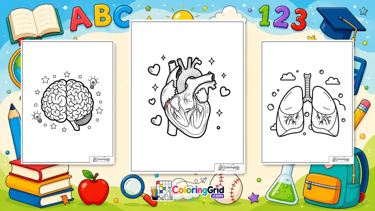 Human Body Coloring Pages featured illustration for Human Body Coloring Pages: Printable Pages for Kids