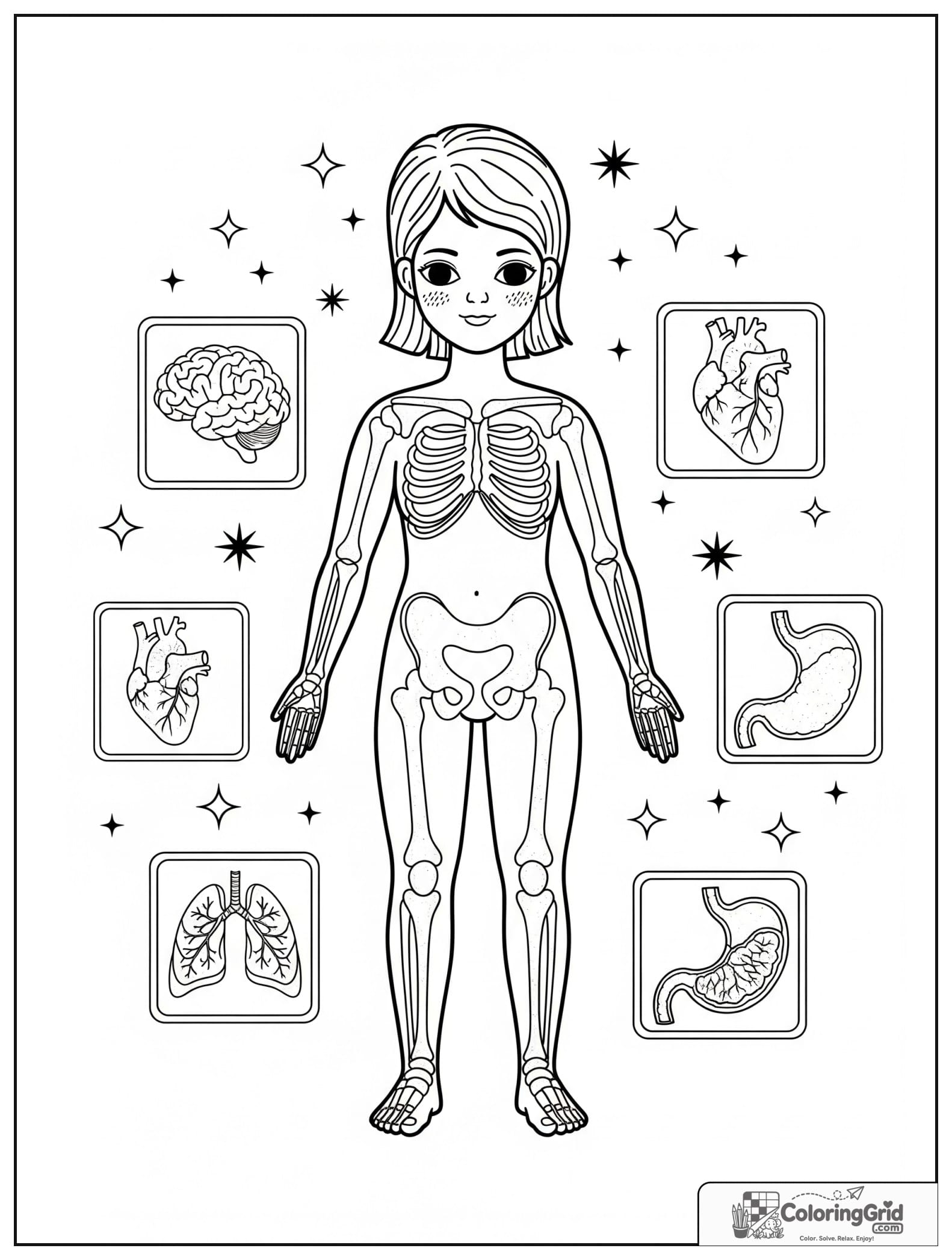 Cute human body educational poster with organ inset sections.