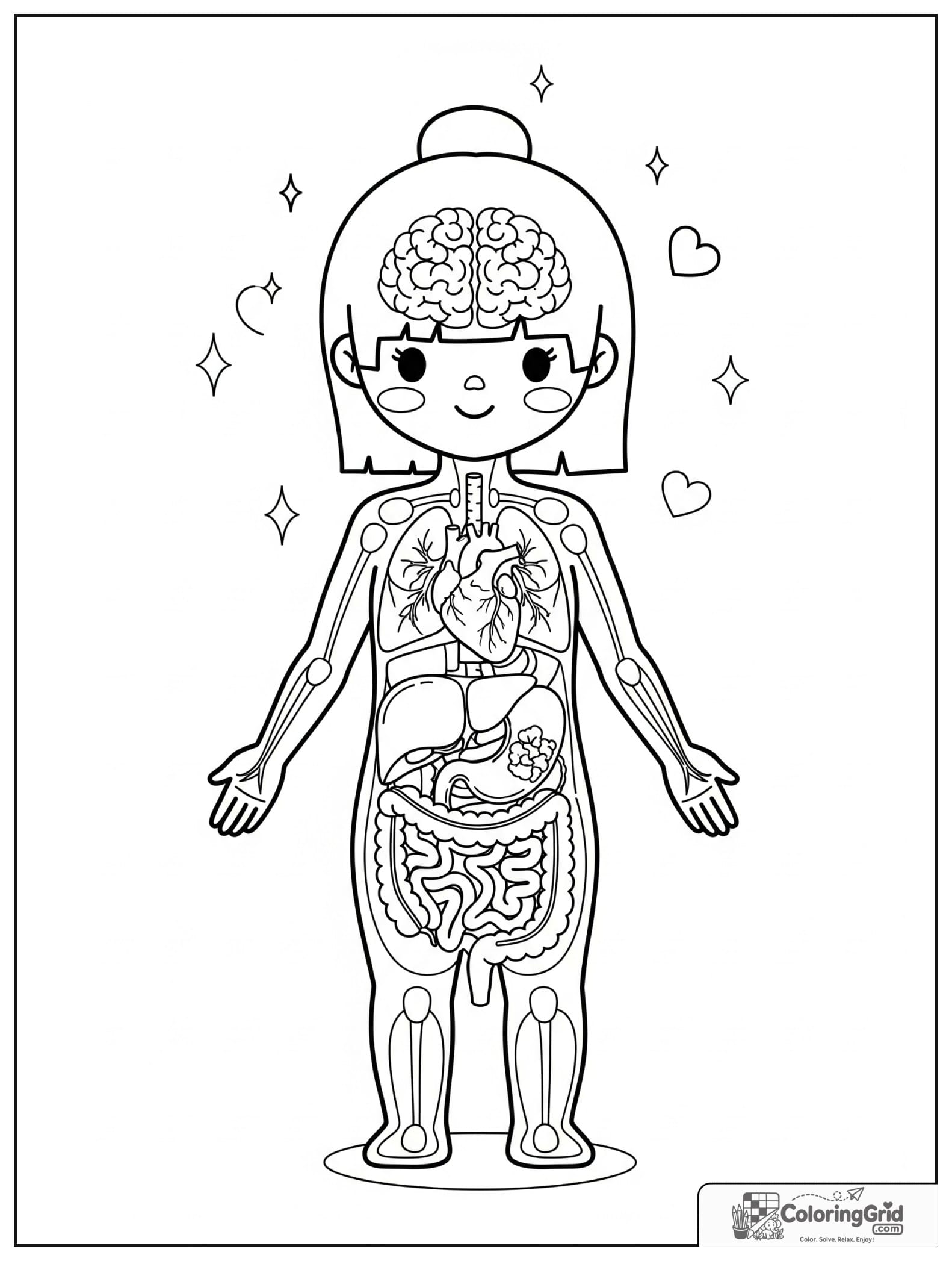 Cute girl body outline with major organs and small sparkles.