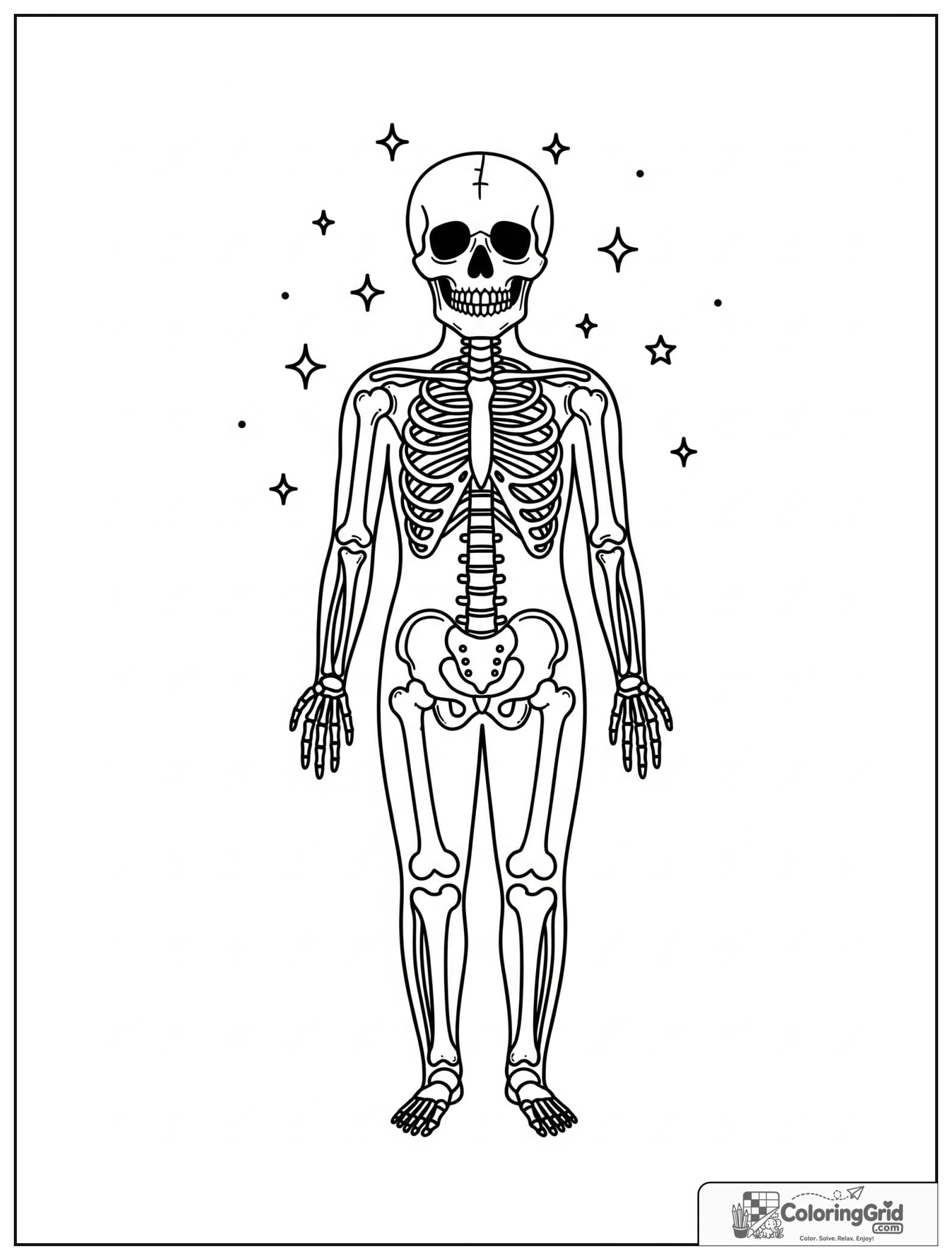 Cute full human skeleton standing in front view with small stars.