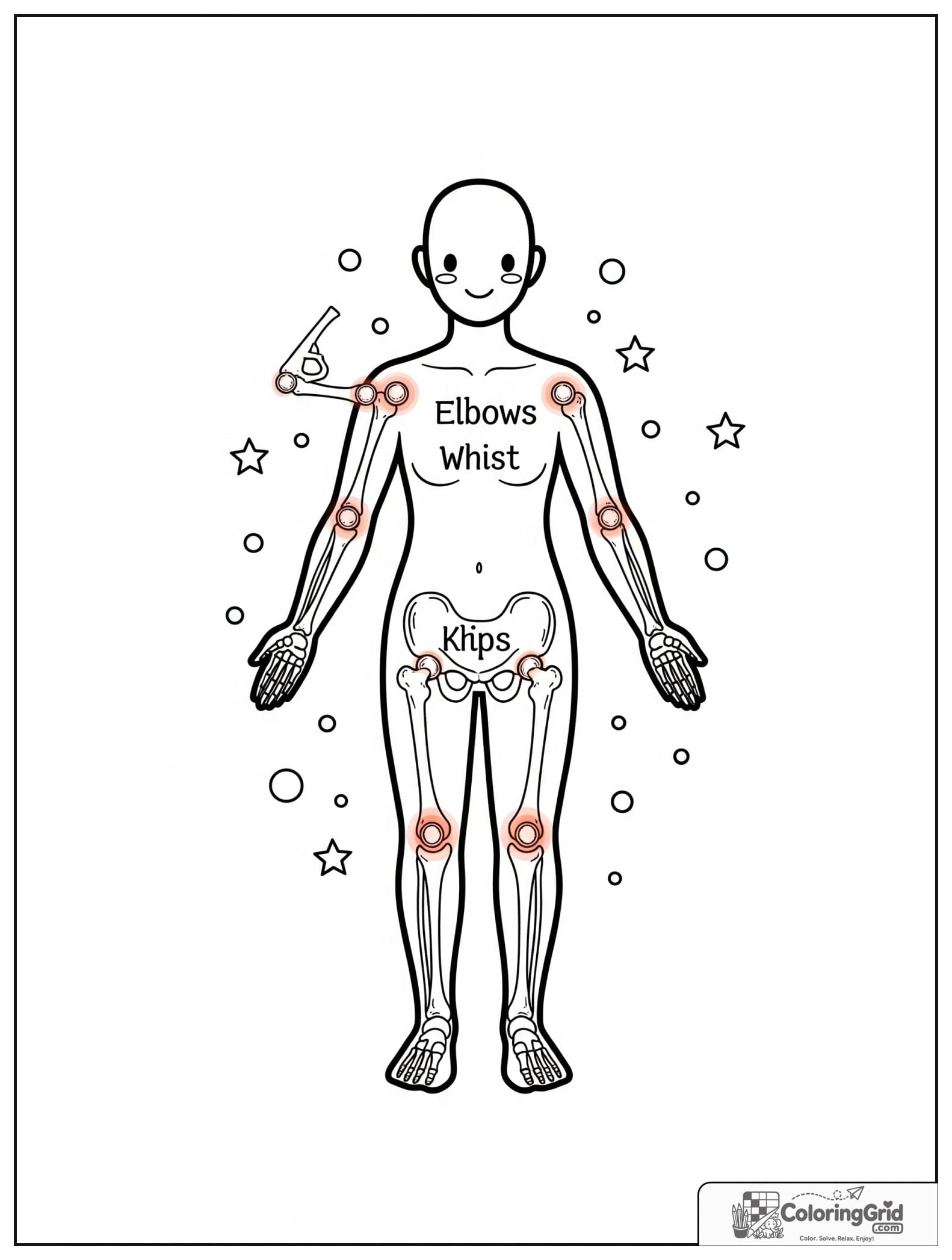Cute joints of the body chart with small circle details.