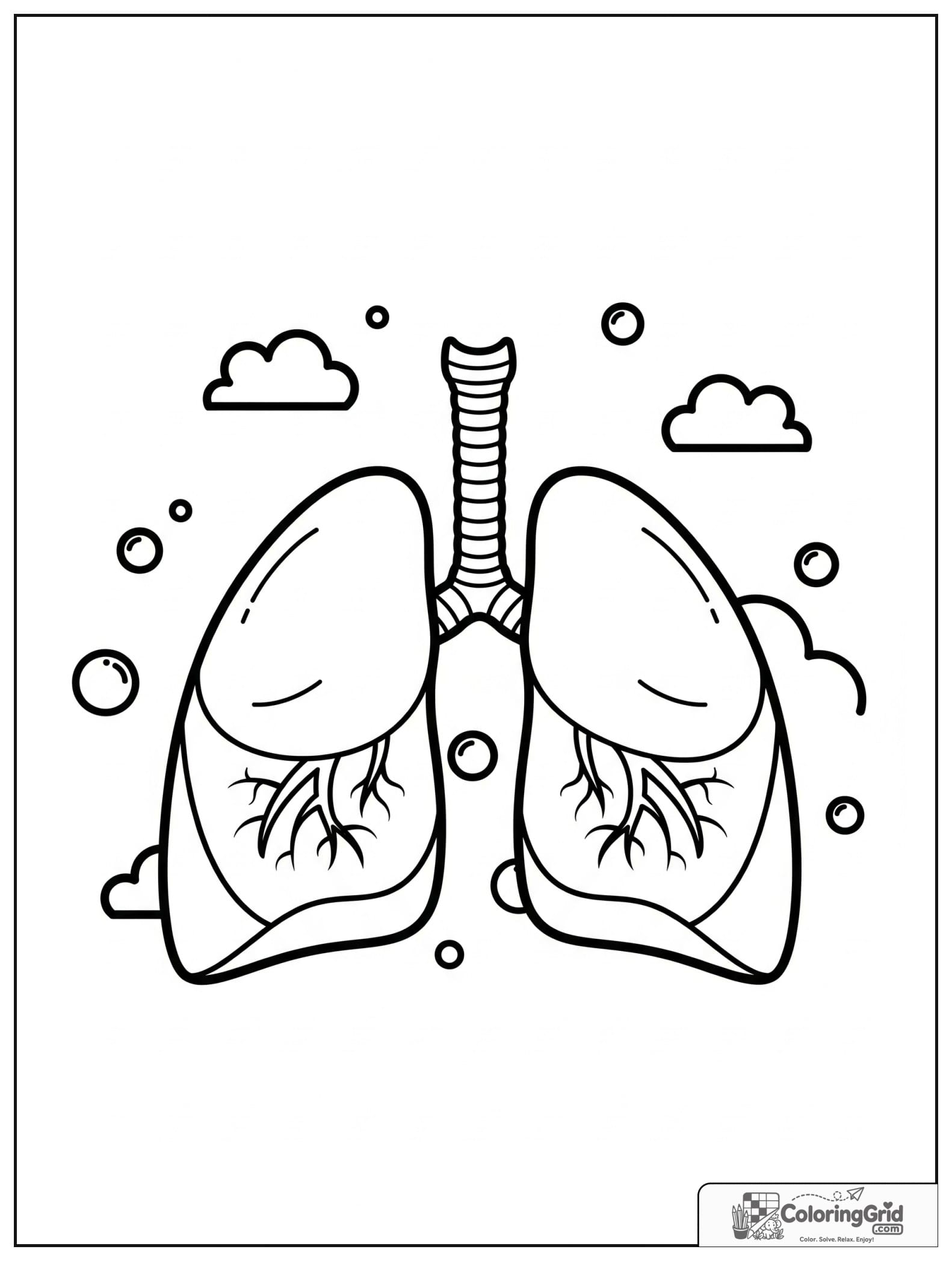 Cute lungs anatomy diagram with small cloud and bubble details.