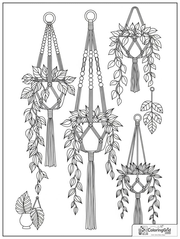 Boho coloring page featuring macrame hanging plants.