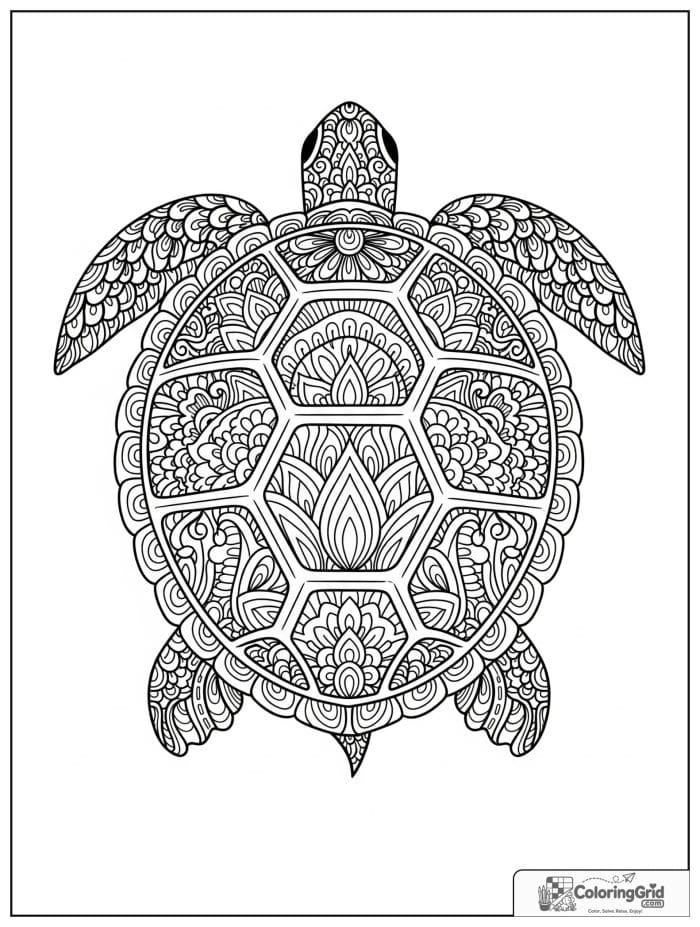 Mandala coloring page featuring a turtle shell inspired design.
