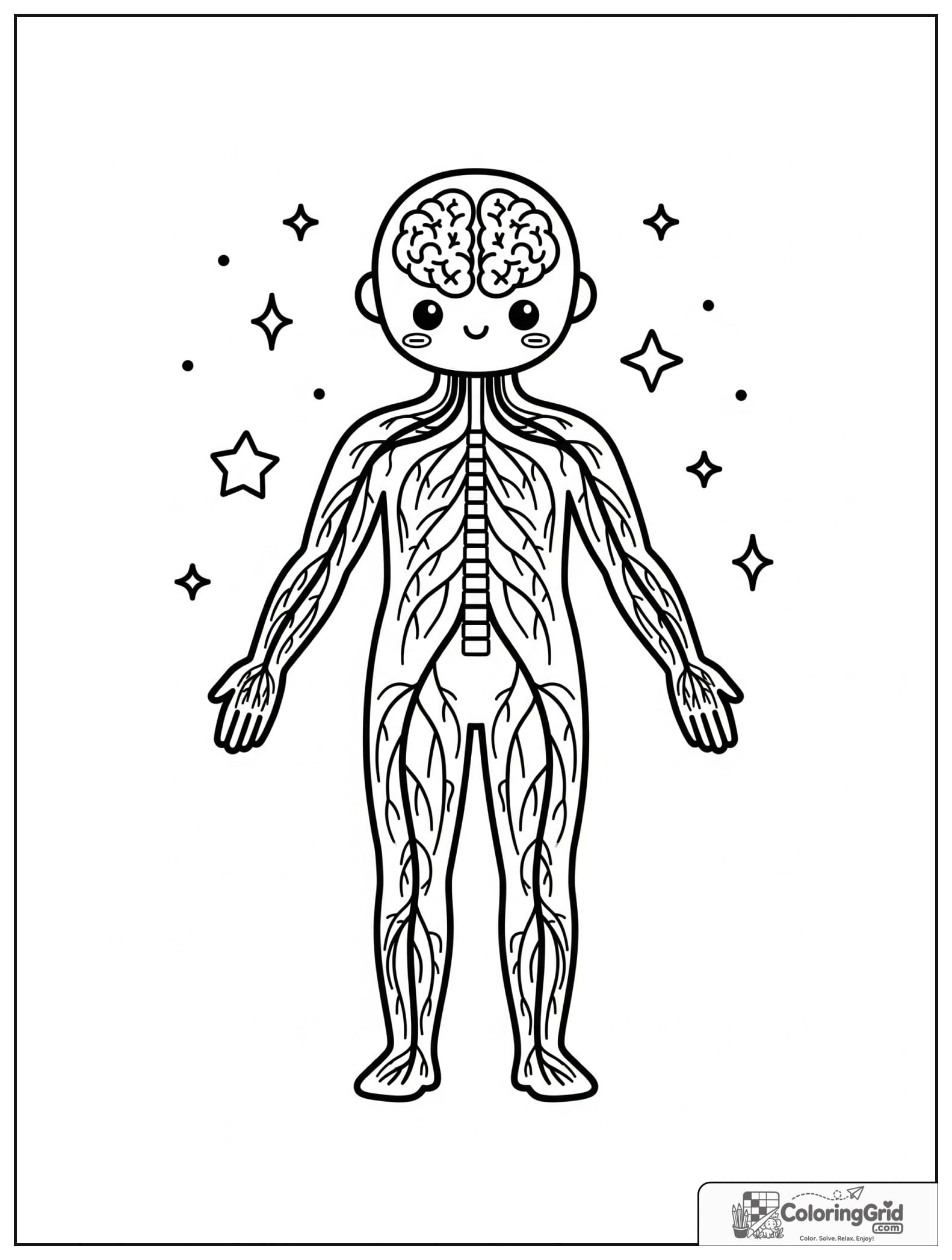 Cute full body nervous system diagram with small sparkle details.