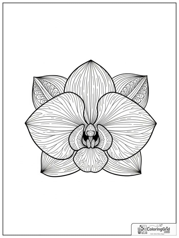 Flower mandala with orchid-inspired petals and ornate loops.